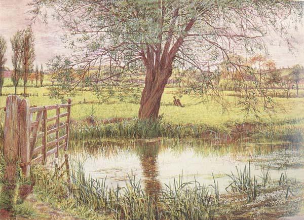 William Bell Scott Landscape with a Gate and Watermeadow (mk46) oil painting image